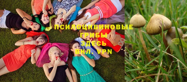 стаф Волоколамск