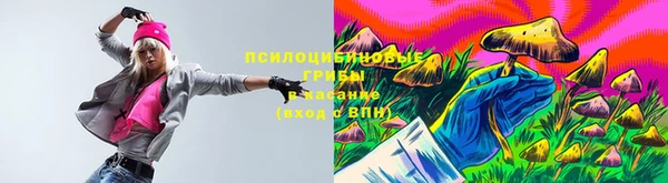 PSILOCYBIN Володарск
