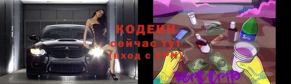 дживик Верхний Тагил