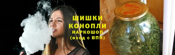 дживик Верхний Тагил